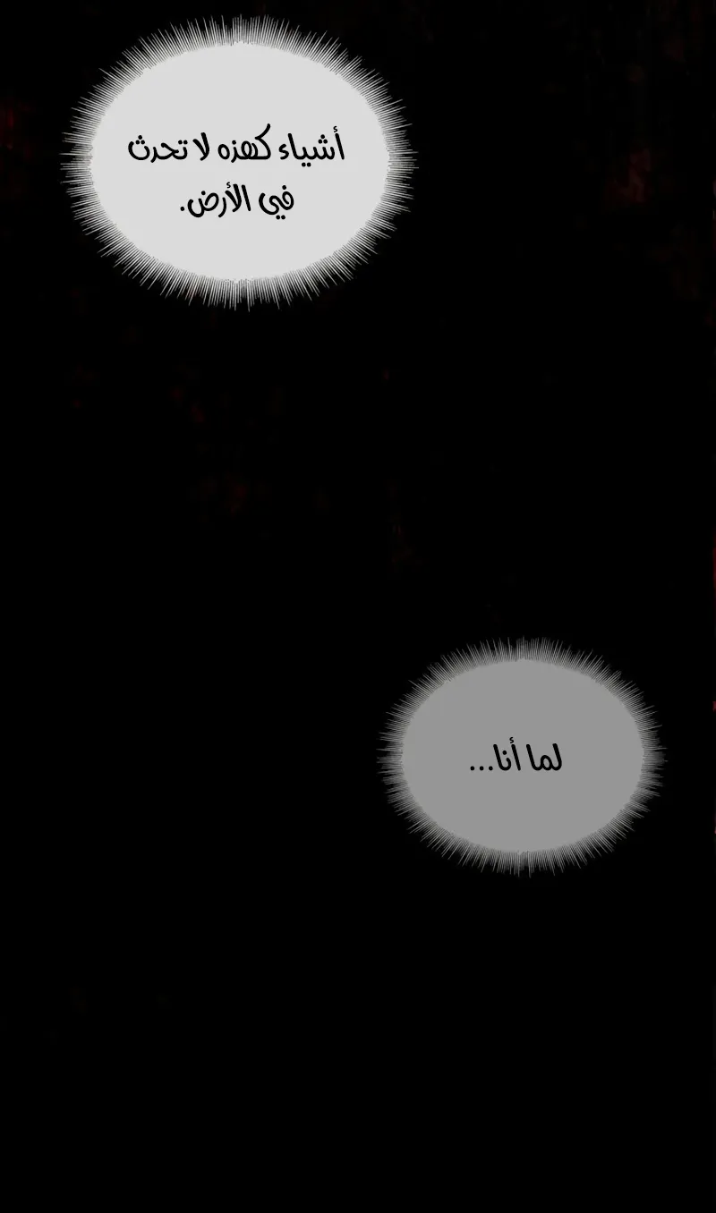 الصفحة 13 من 81