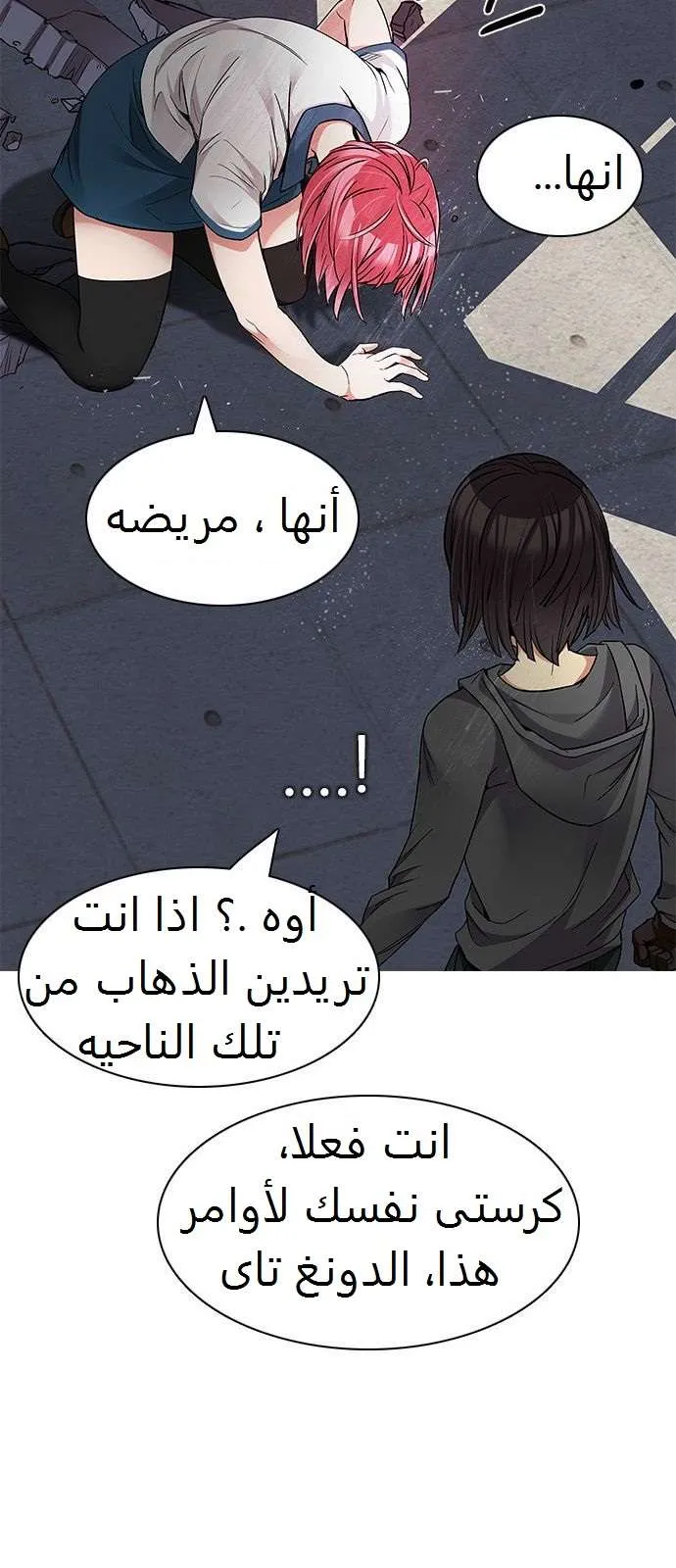 الصفحة 8 من 41