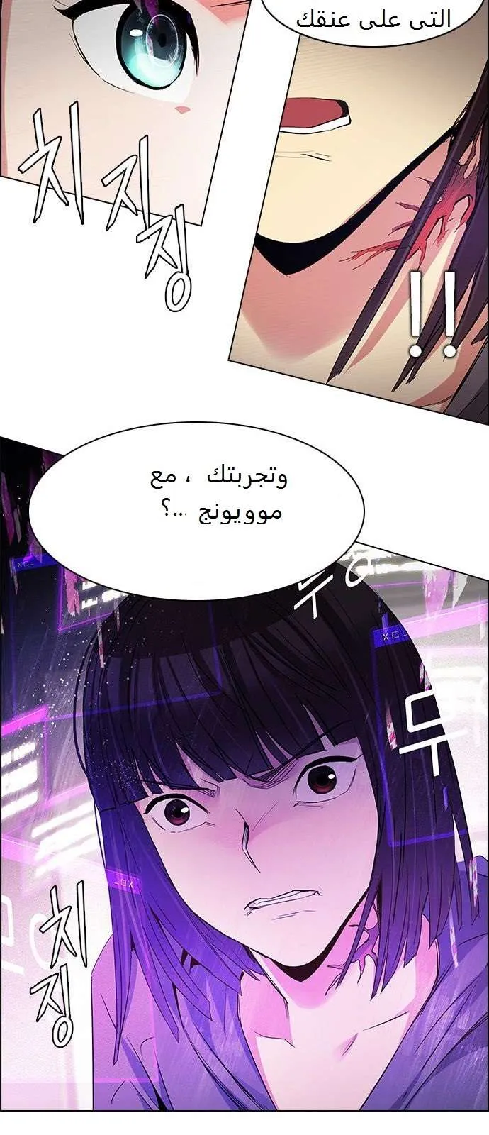 الصفحة 13 من 41