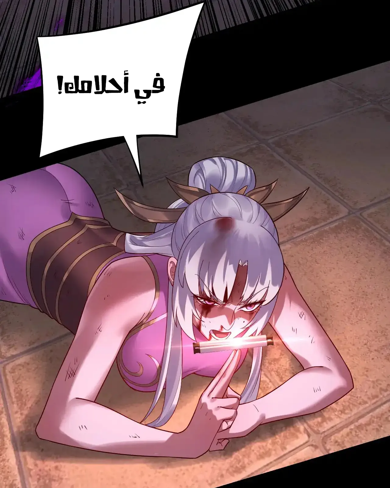 الصفحة 24 من 91