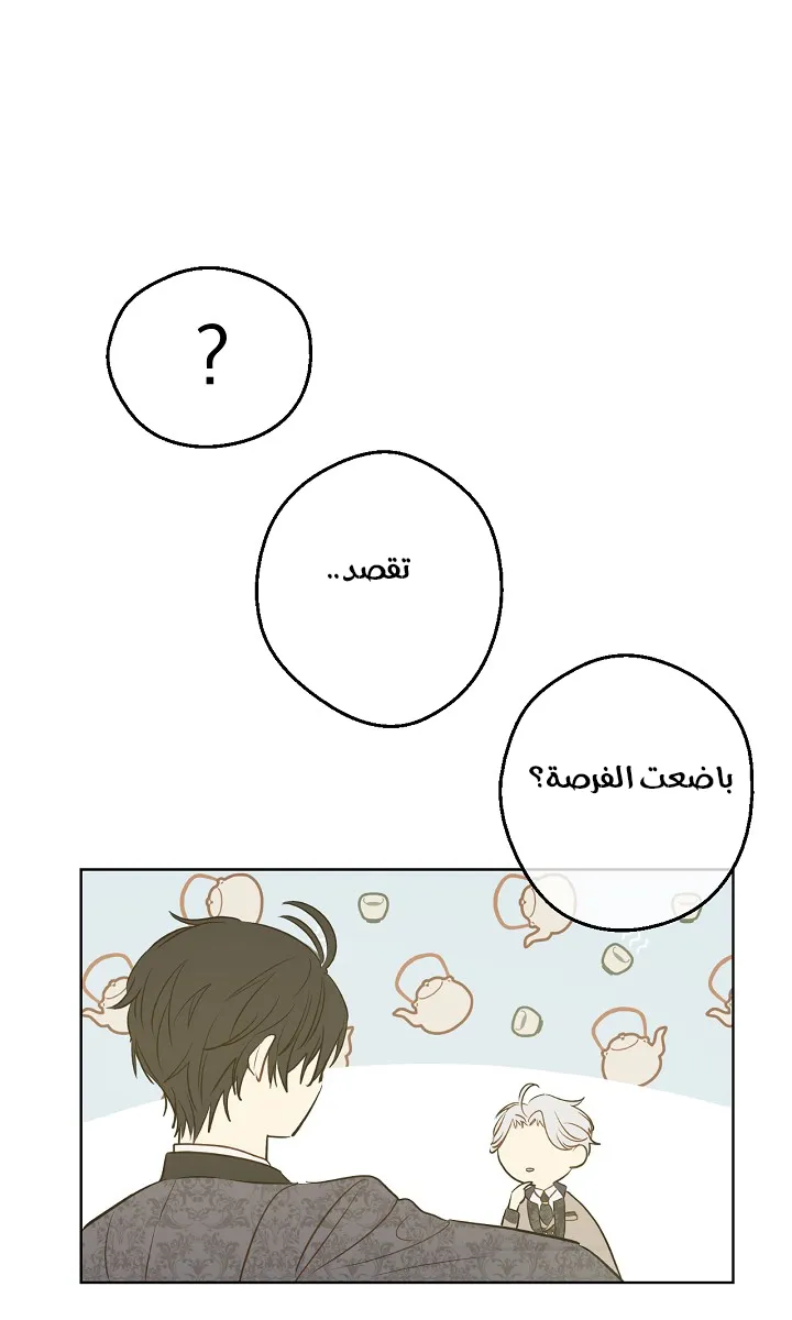 الصفحة 47 من 68
