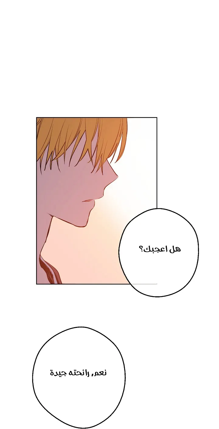 الصفحة 17 من 68