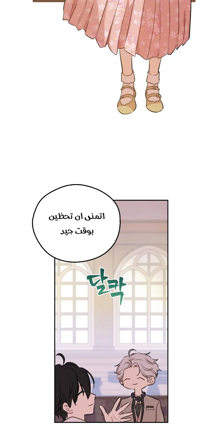 الصفحة 43 من 68