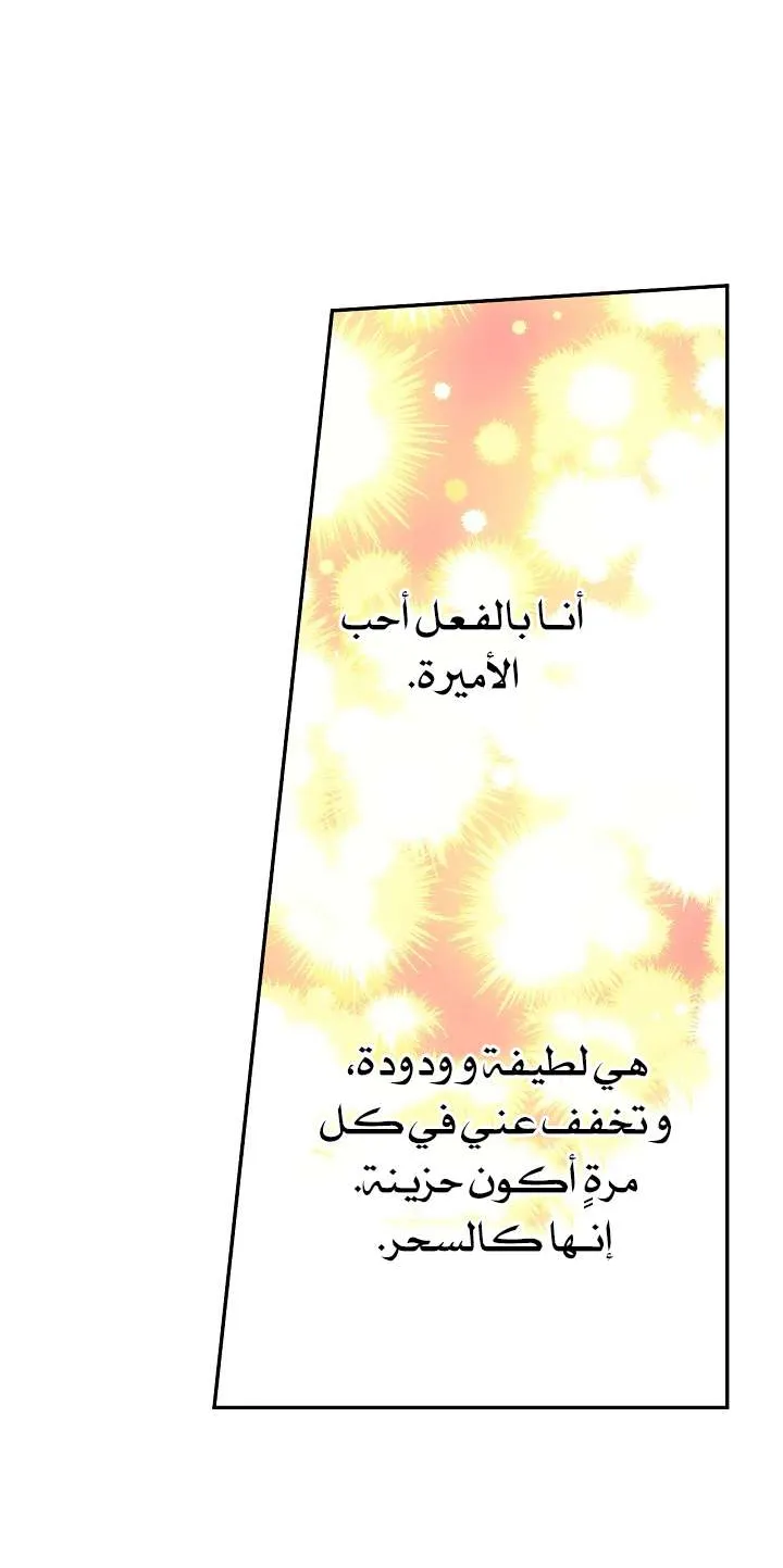الصفحة 48 من 61
