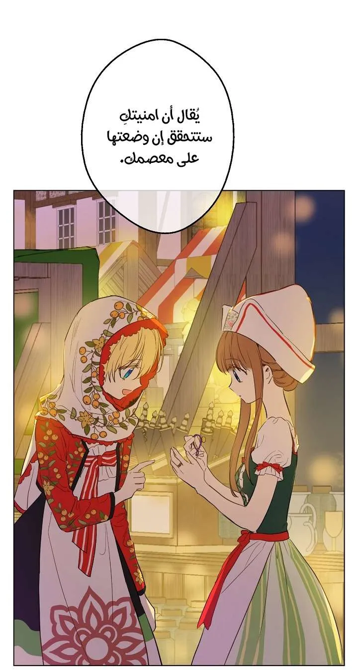الصفحة 5 من 61