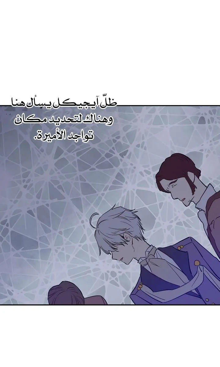 الصفحة 43 من 61