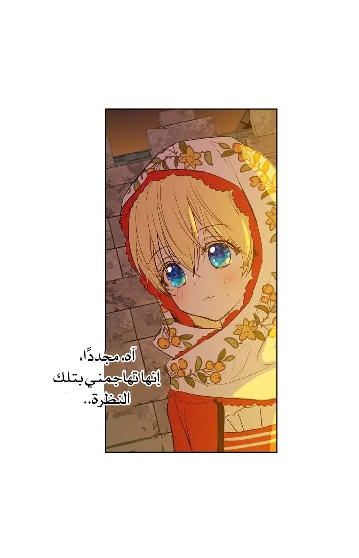 الصفحة 24 من 61