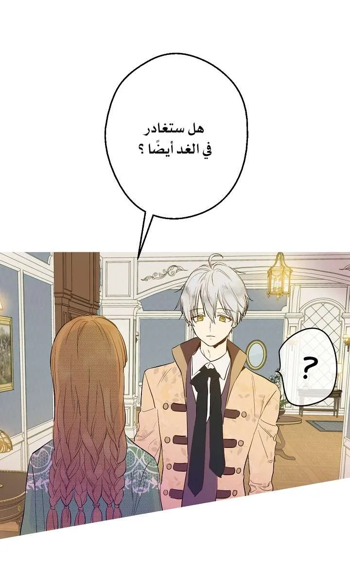 الصفحة 40 من 61