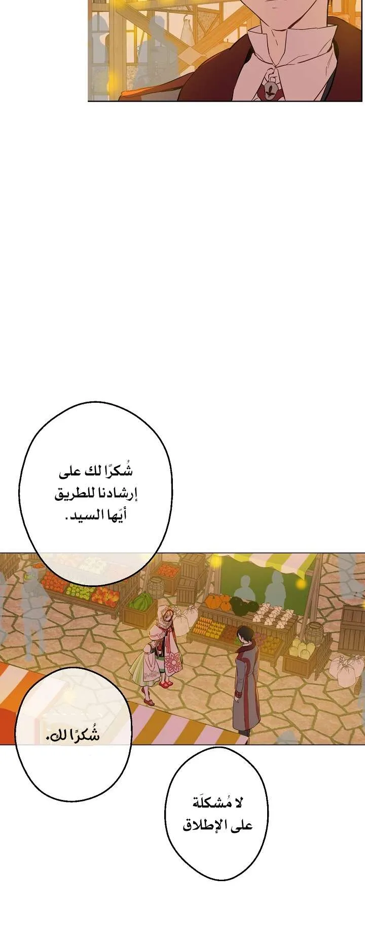 الصفحة 13 من 61