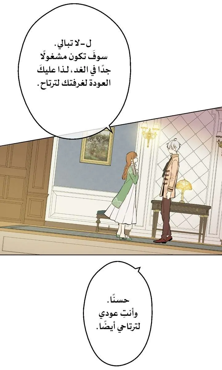 الصفحة 41 من 61