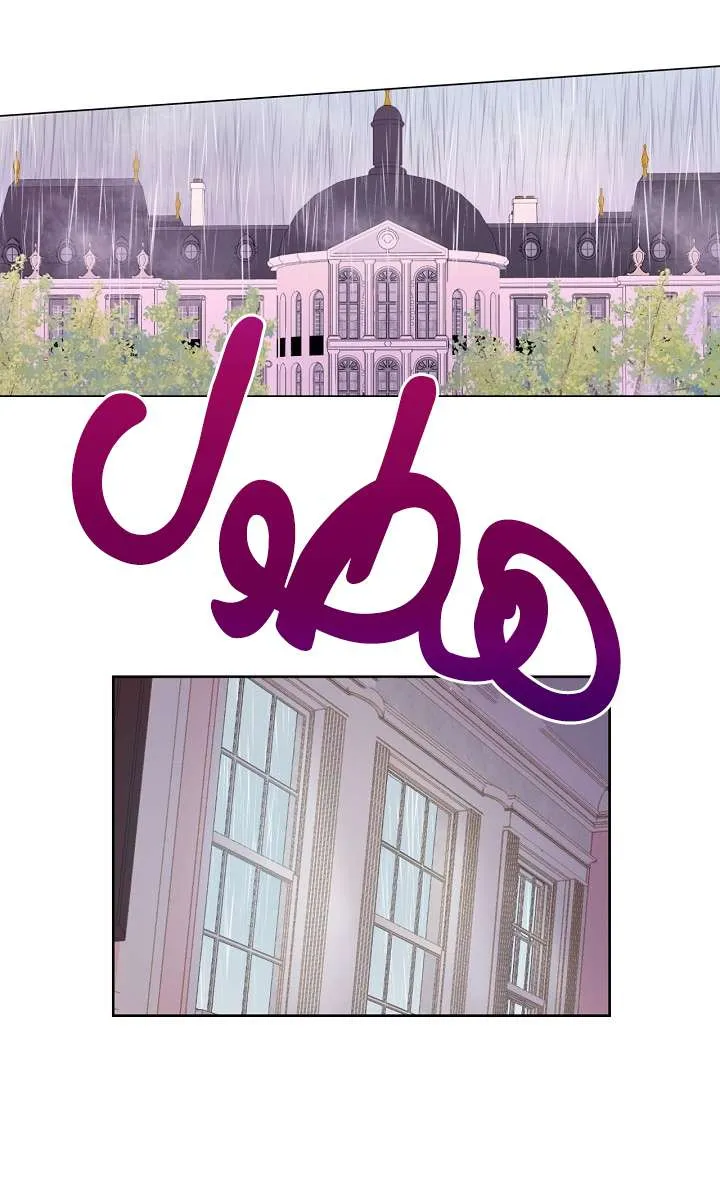 الصفحة 35 من 61
