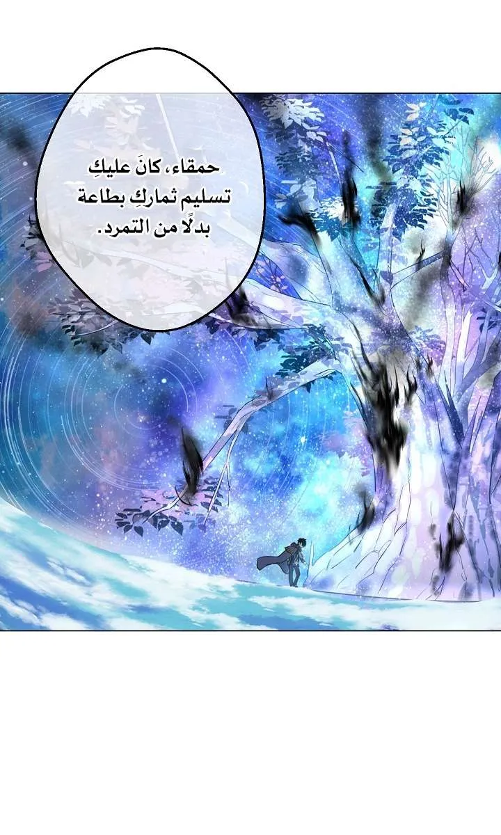 الصفحة 28 من 61