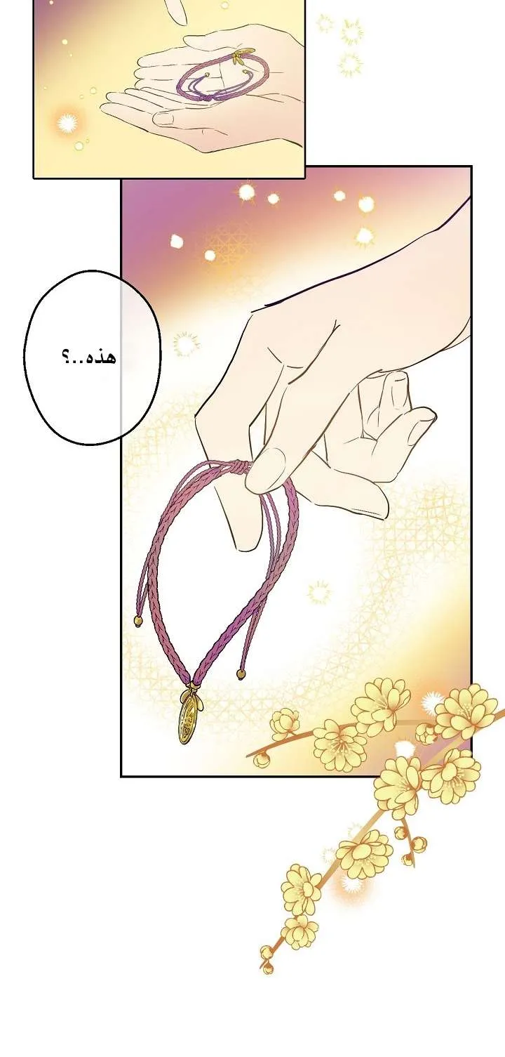 الصفحة 4 من 61