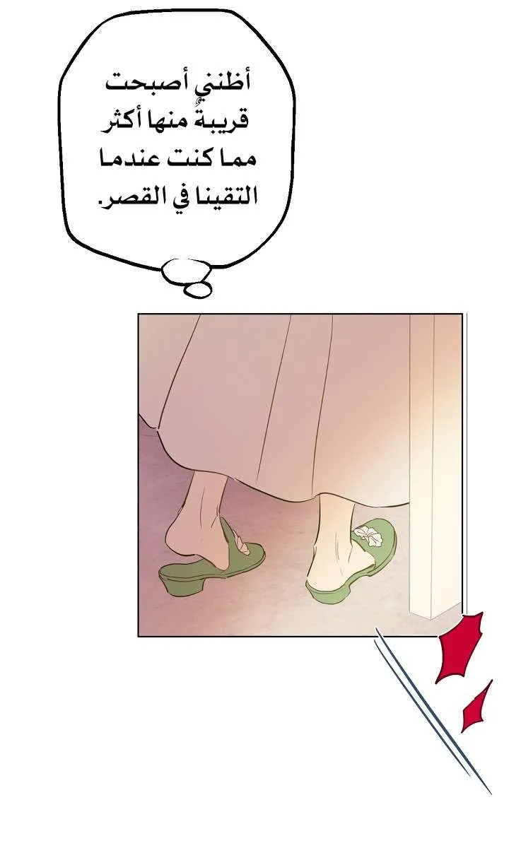 الصفحة 52 من 61