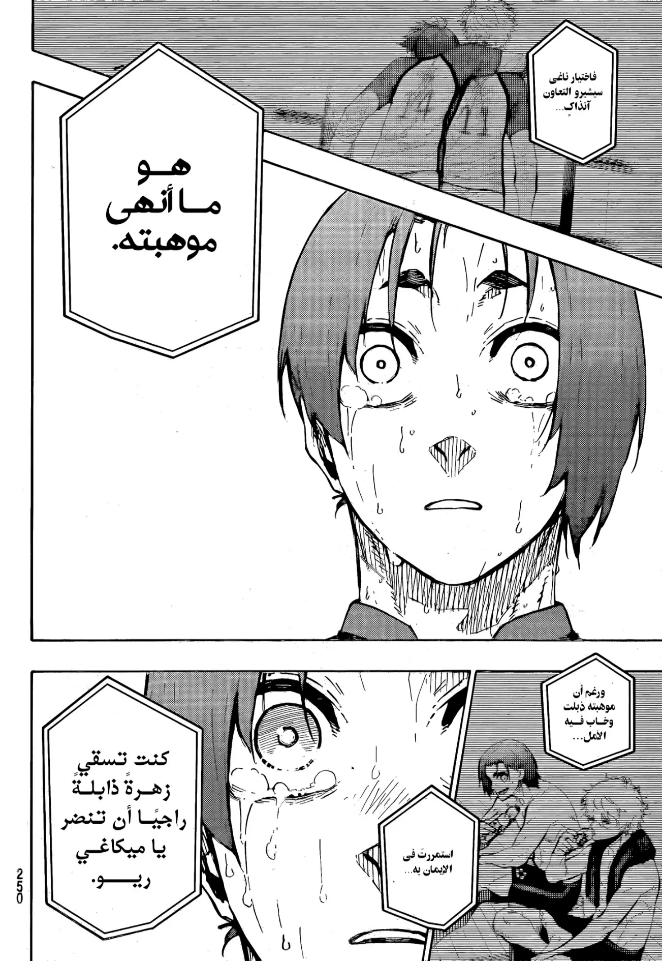 الصفحة 16 من 19