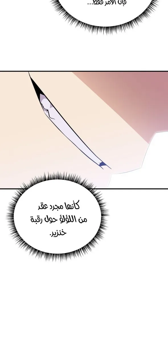الصفحة 21 من 63