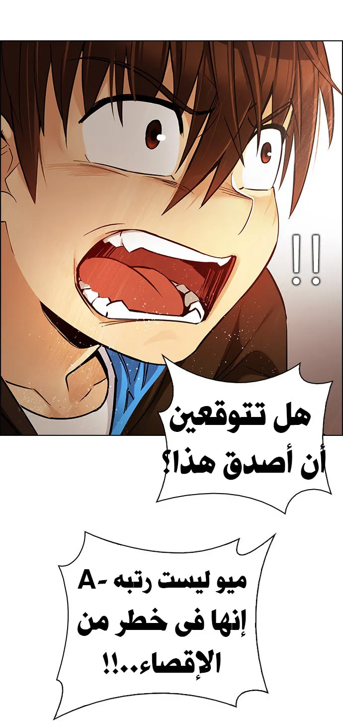 الصفحة 41 من 82