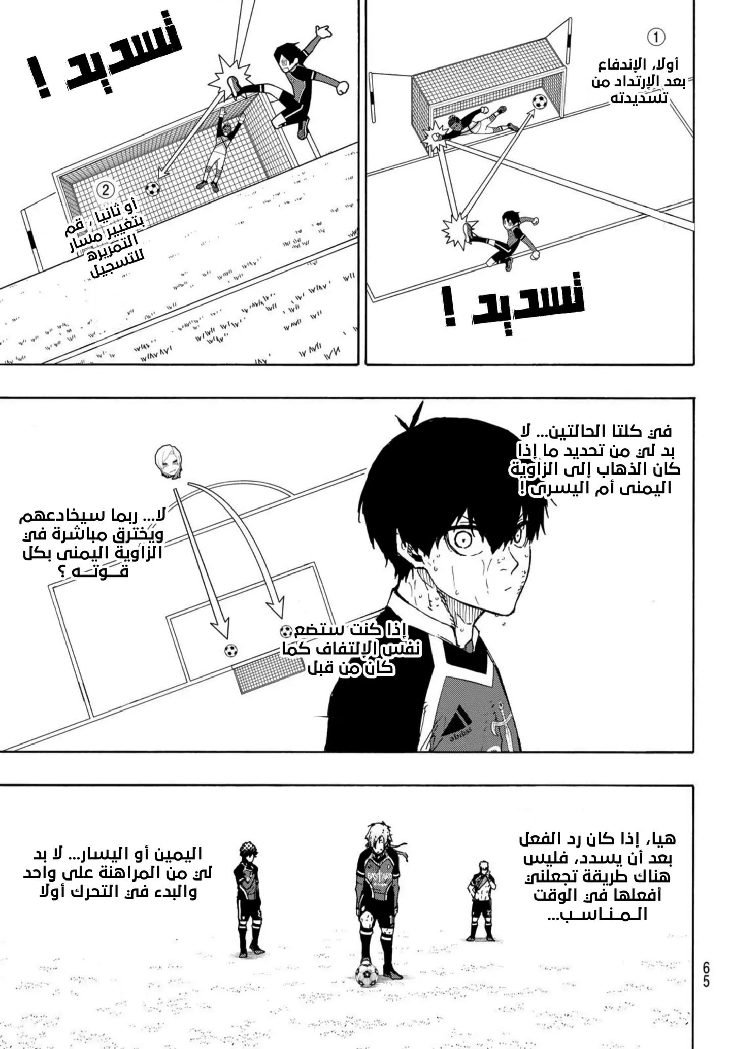 الصفحة 8 من 21