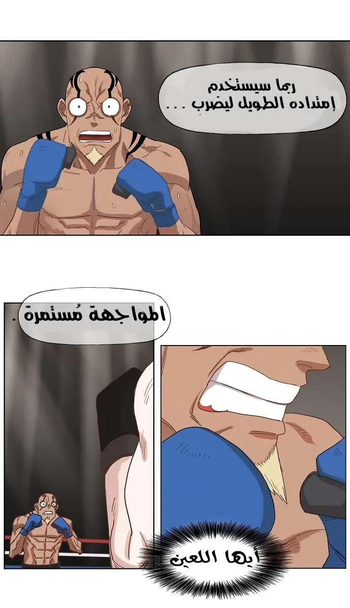 الصفحة 26 من 50