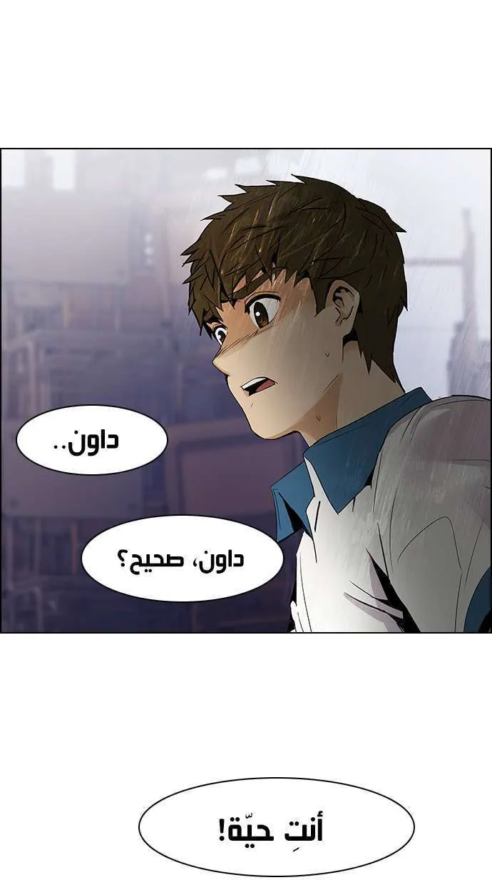 الصفحة 13 من 47