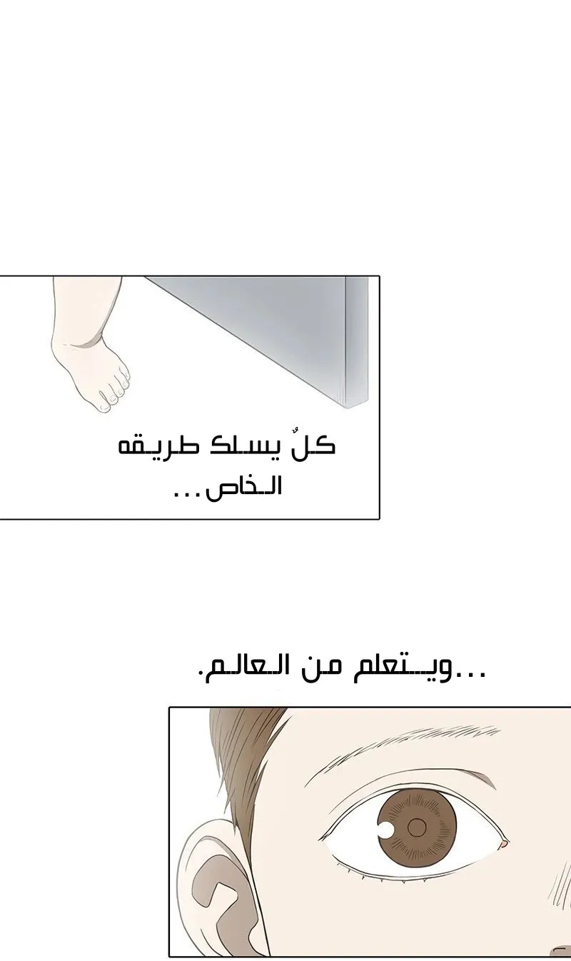 الصفحة 20 من 85