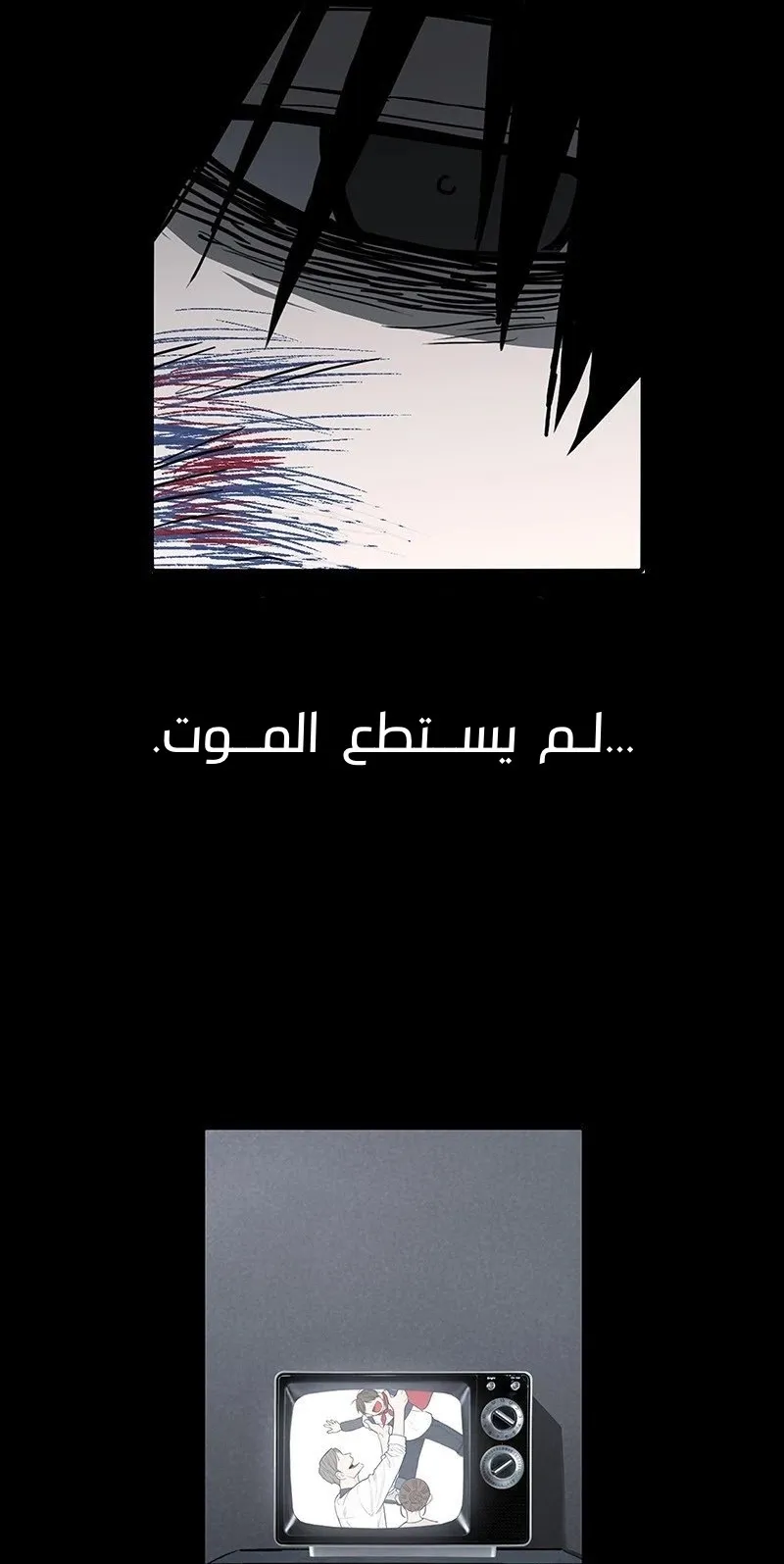 الصفحة 48 من 85