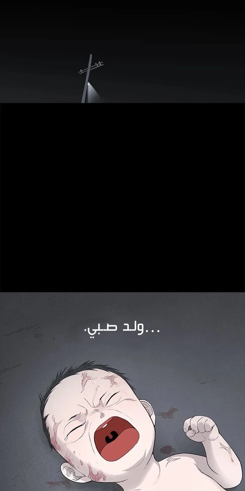 الصفحة 12 من 85