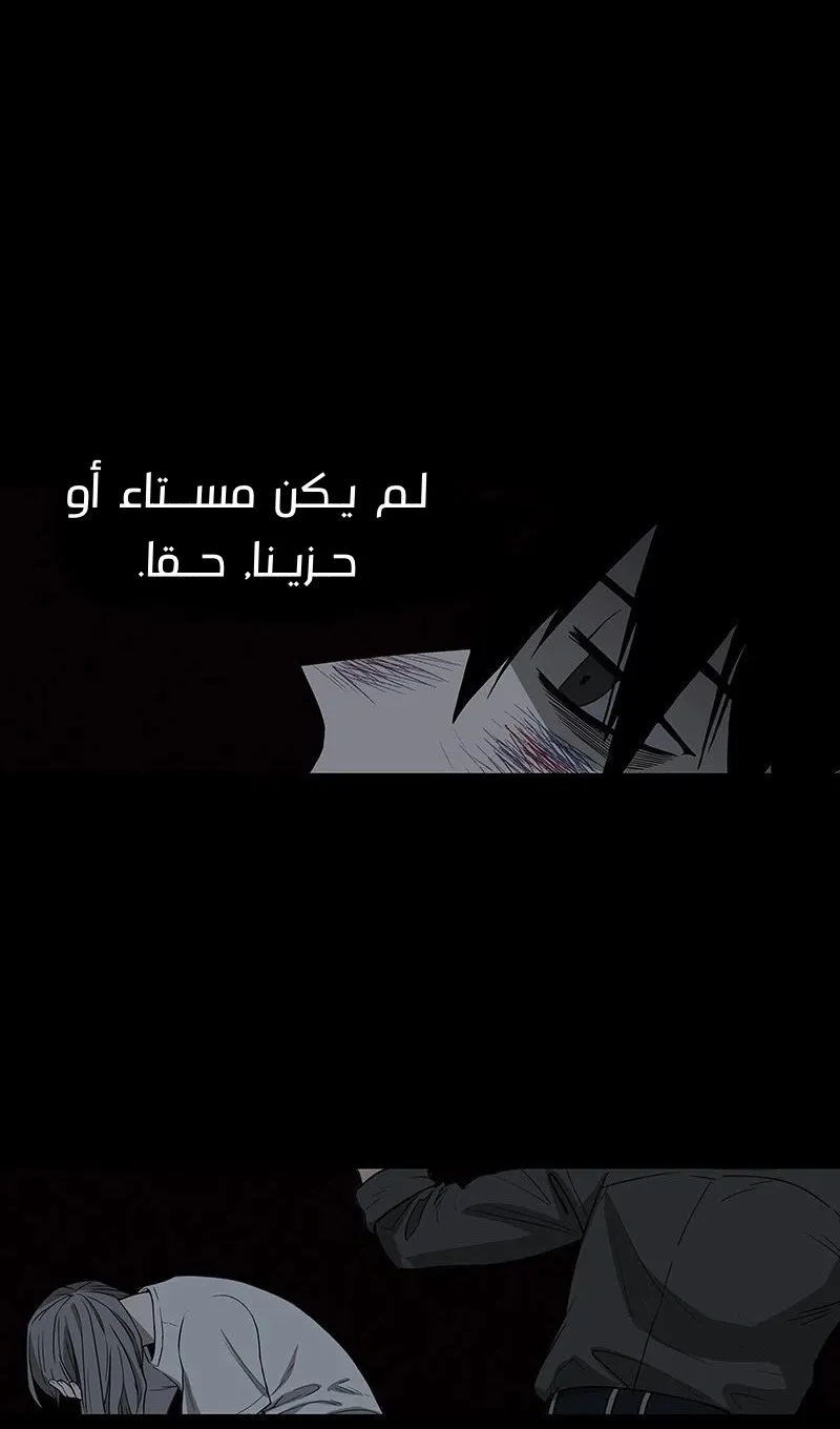 الصفحة 56 من 85