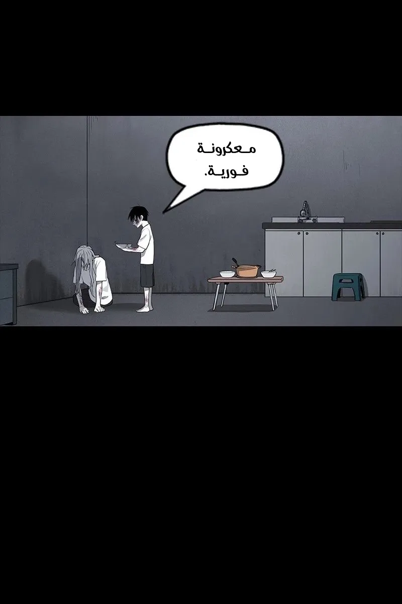 الصفحة 62 من 85