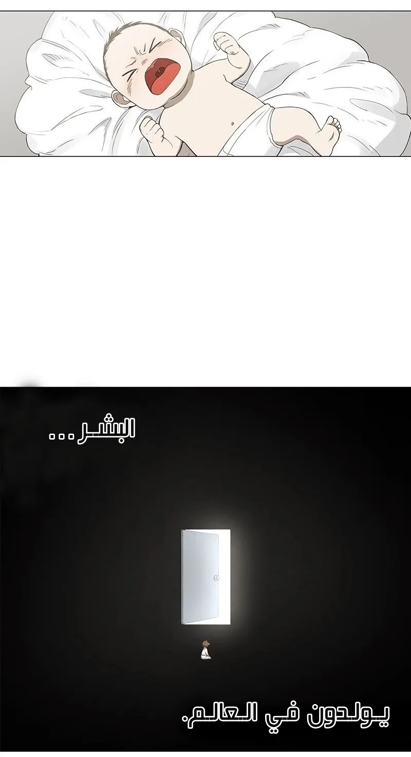 الصفحة 19 من 85