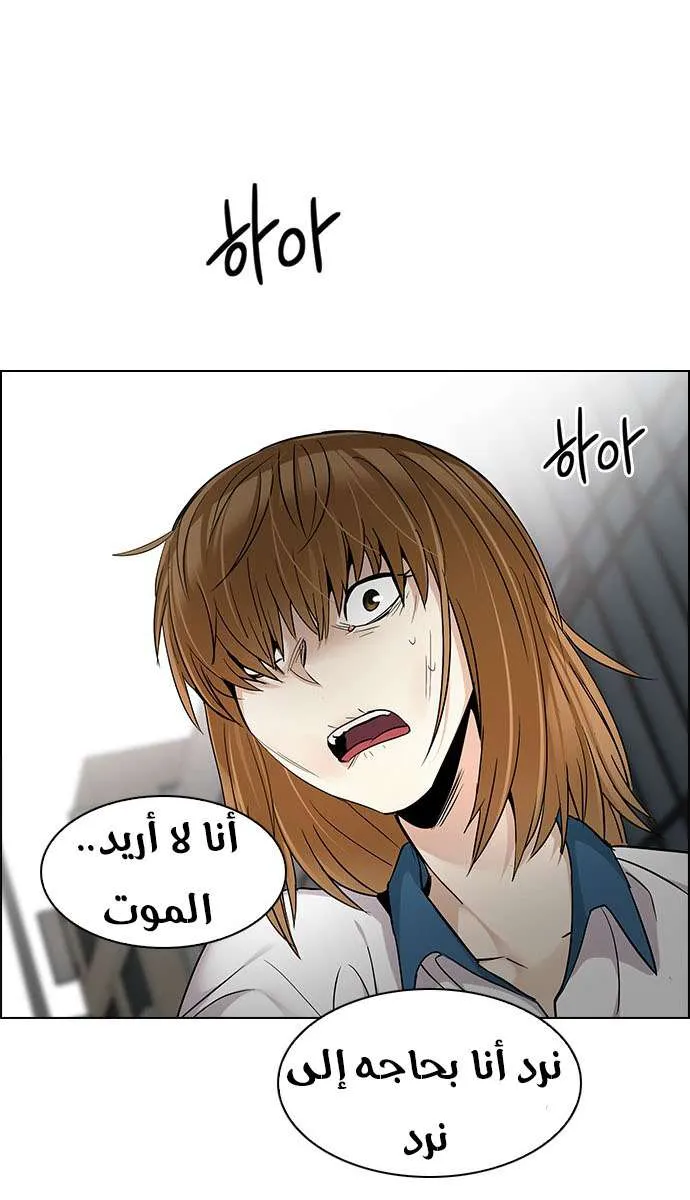الصفحة 47 من 62