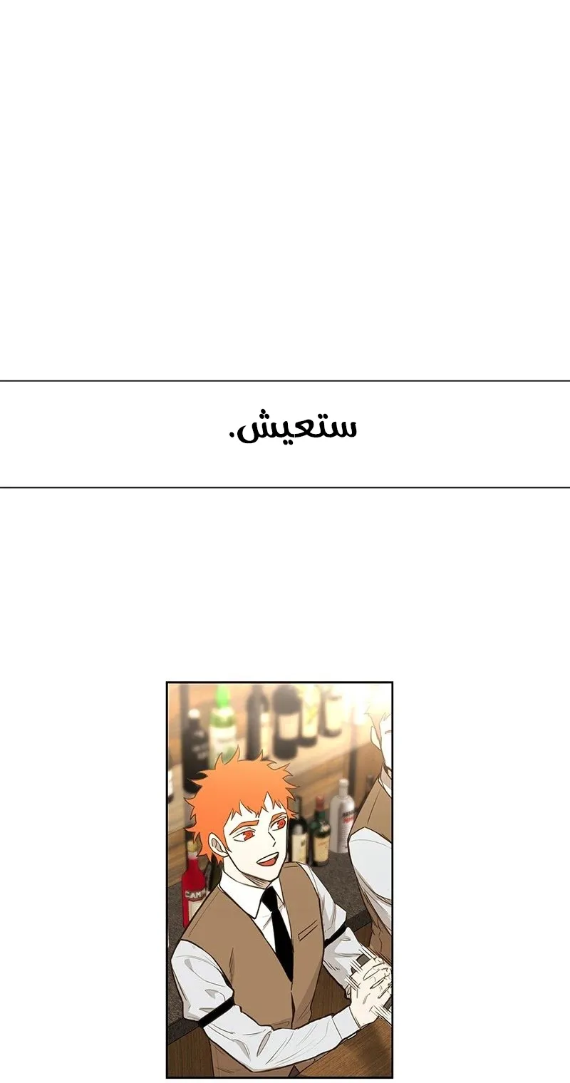 الصفحة 41 من 95