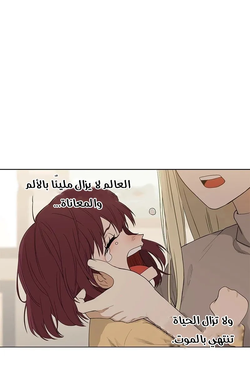 الصفحة 59 من 95