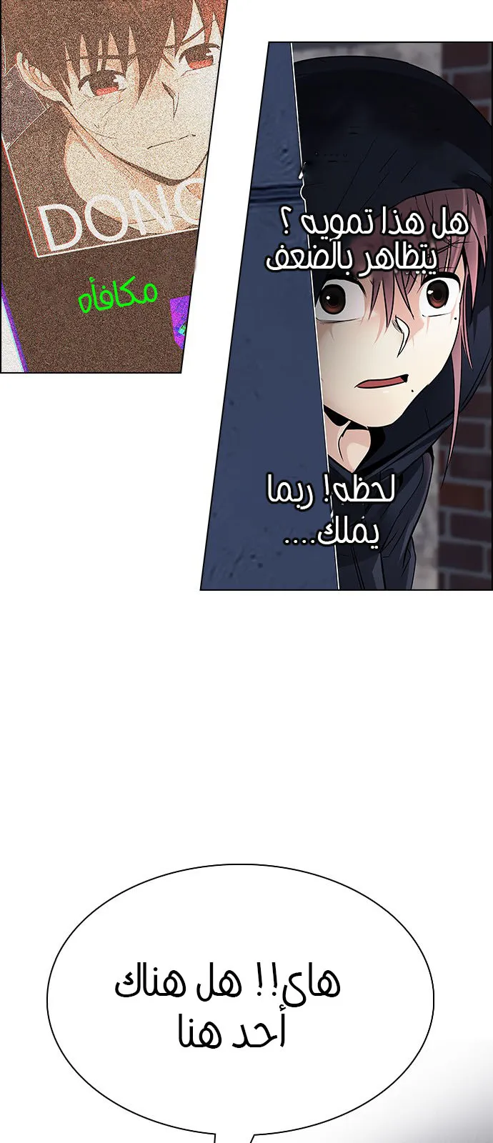 الصفحة 24 من 78