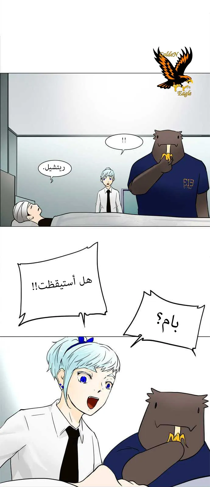 الصفحة 13 من 53