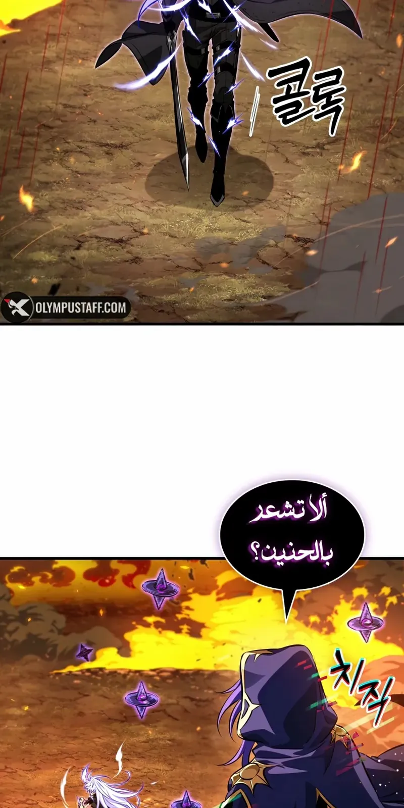 الصفحة 20 من 100