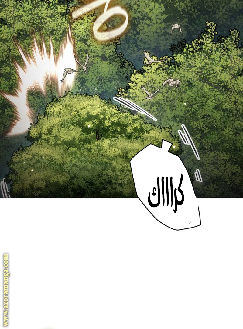 الصفحة 50 من 119