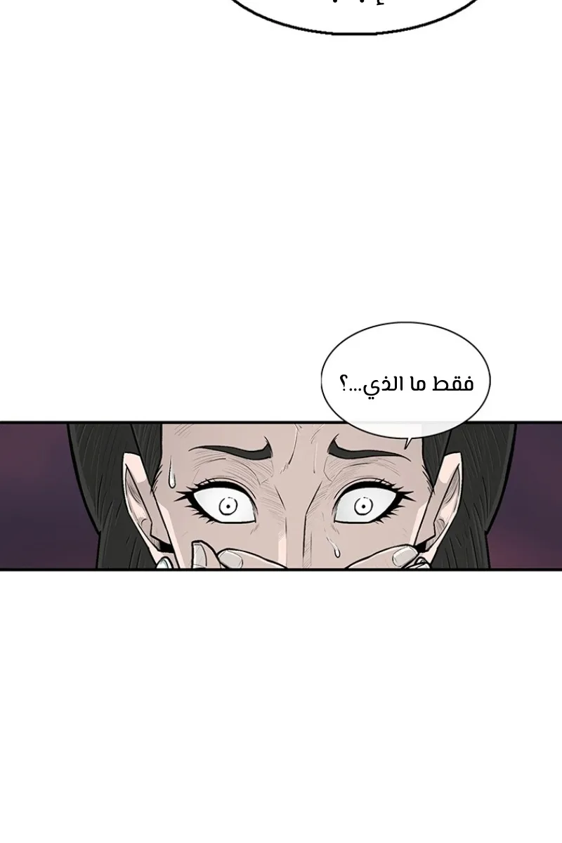 الصفحة 24 من 81