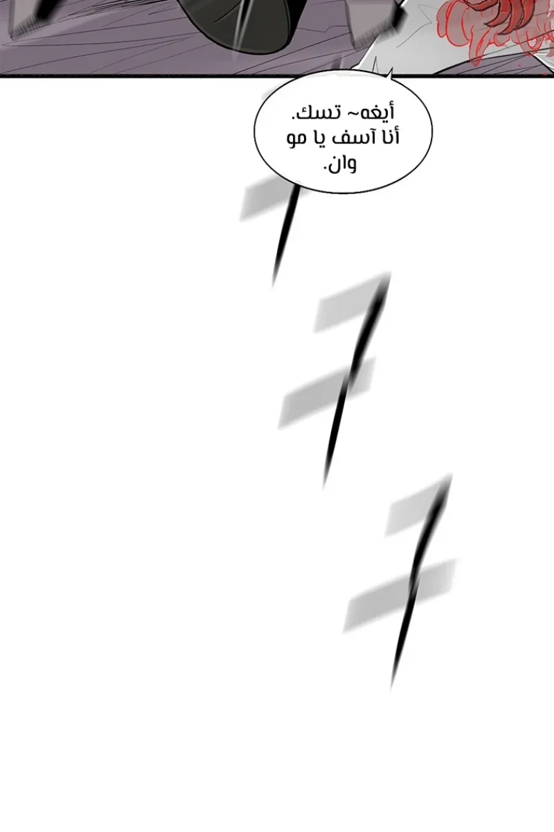 الصفحة 33 من 81