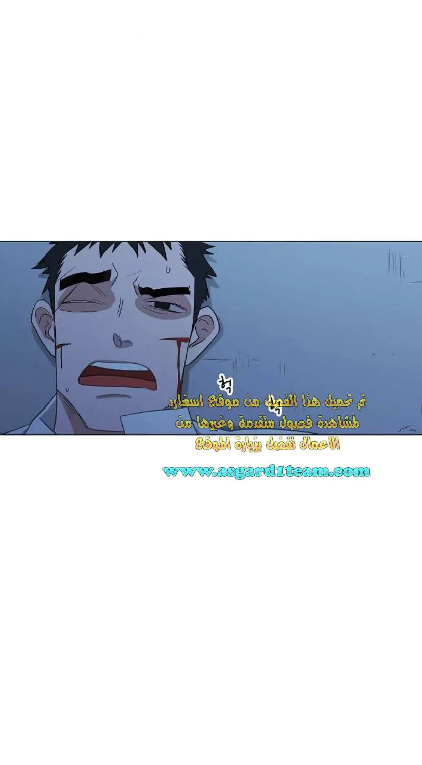 الصفحة 13 من 45