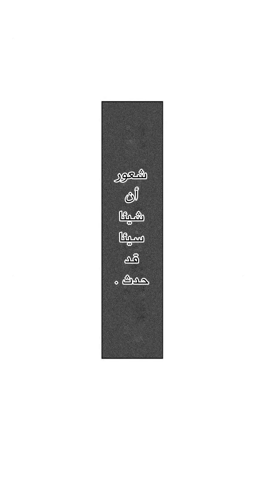 الصفحة 17 من 45