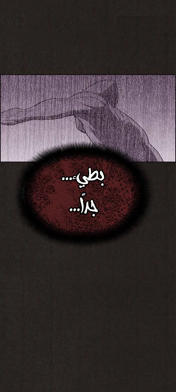 الصفحة 43 من 93
