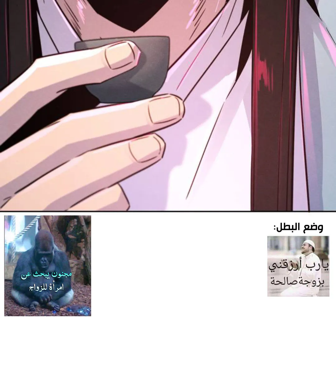 الصفحة 117 من 121