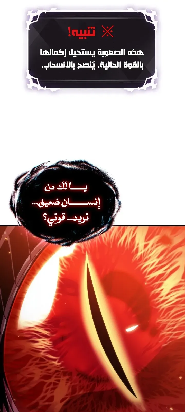 الصفحة 22 من 91