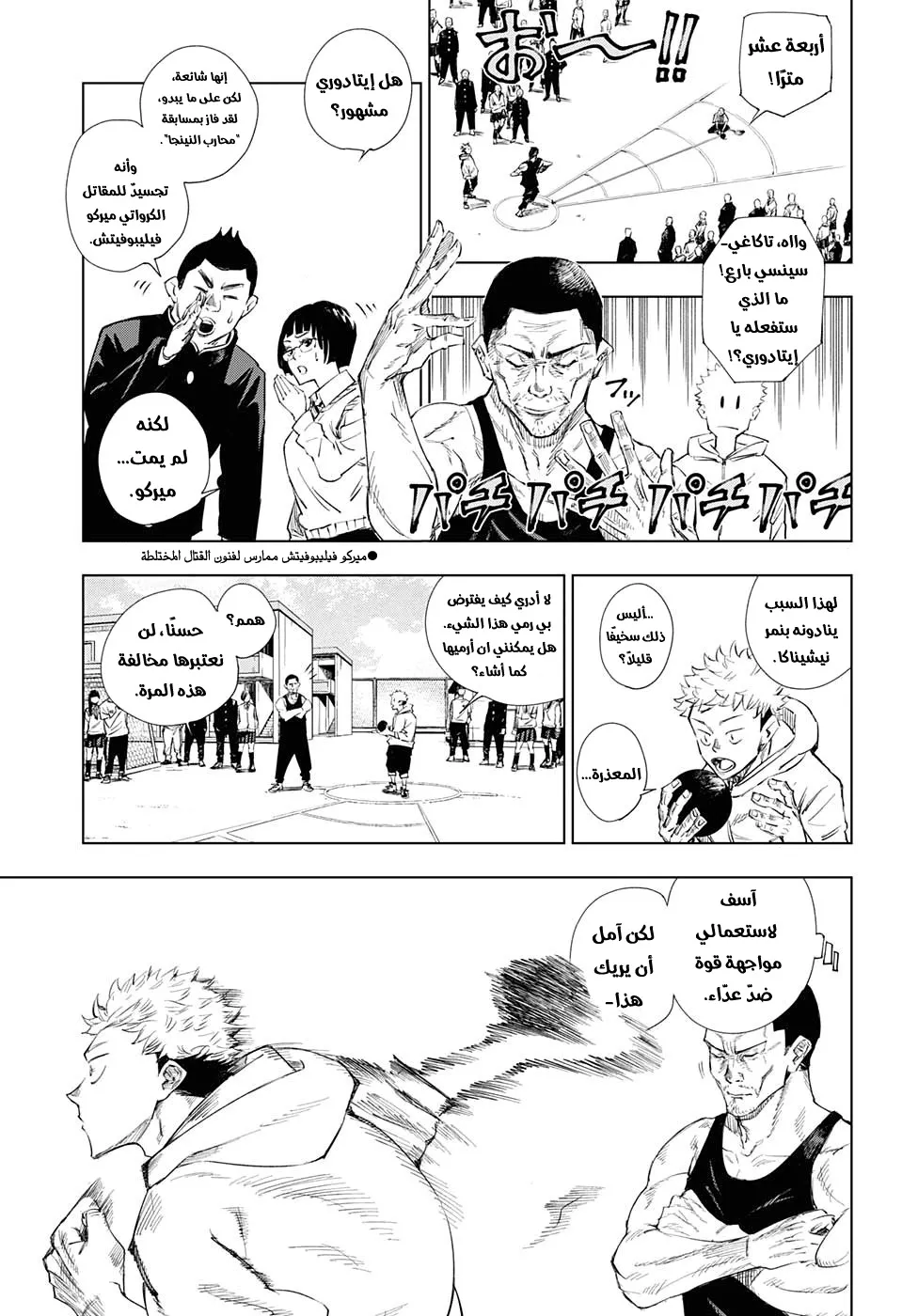 الصفحة 13 من 53