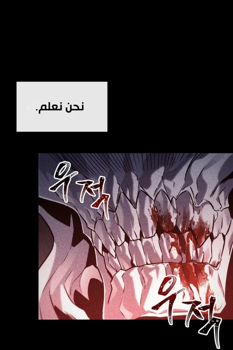 الصفحة 17 من 96