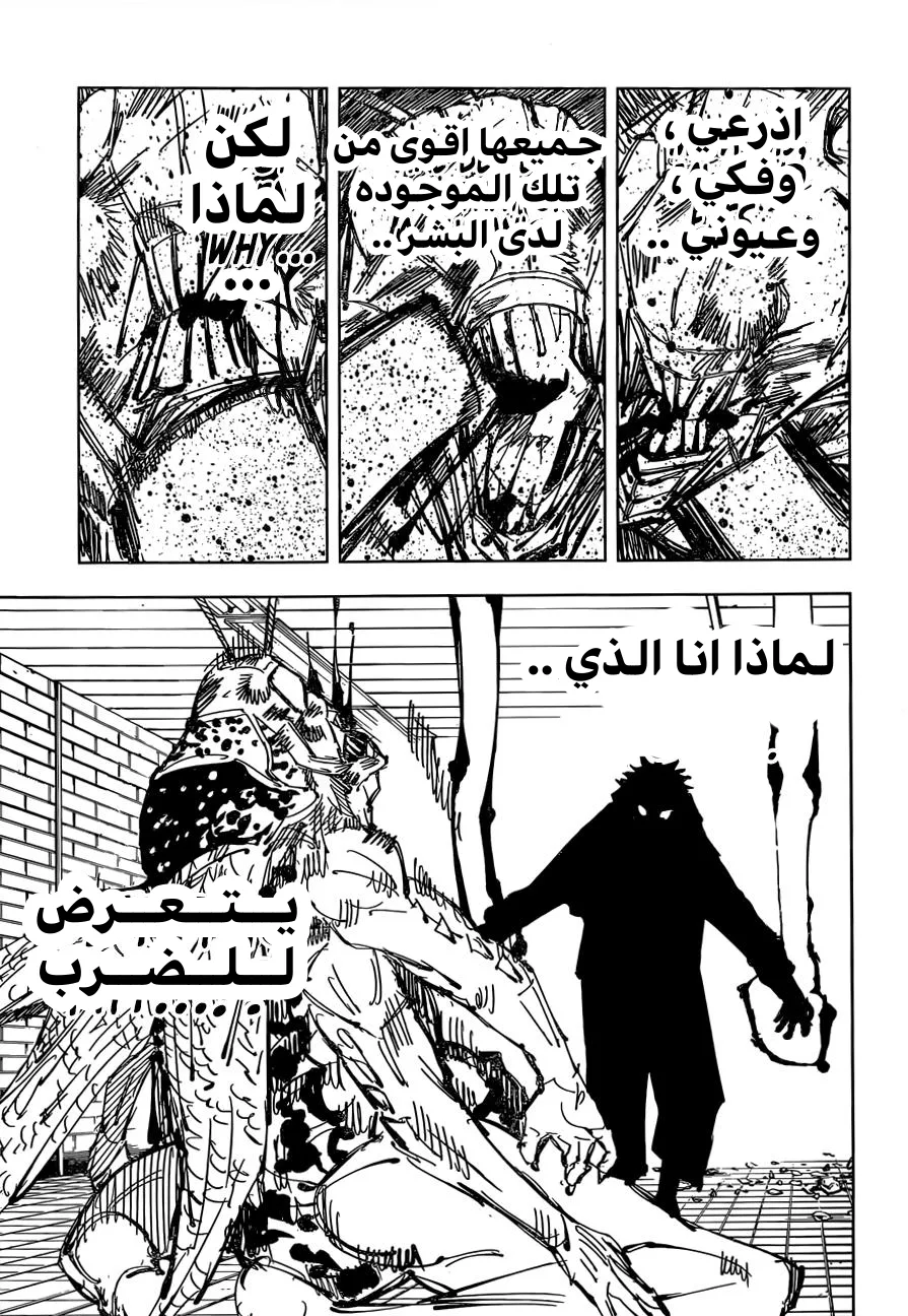 الصفحة 10 من 17