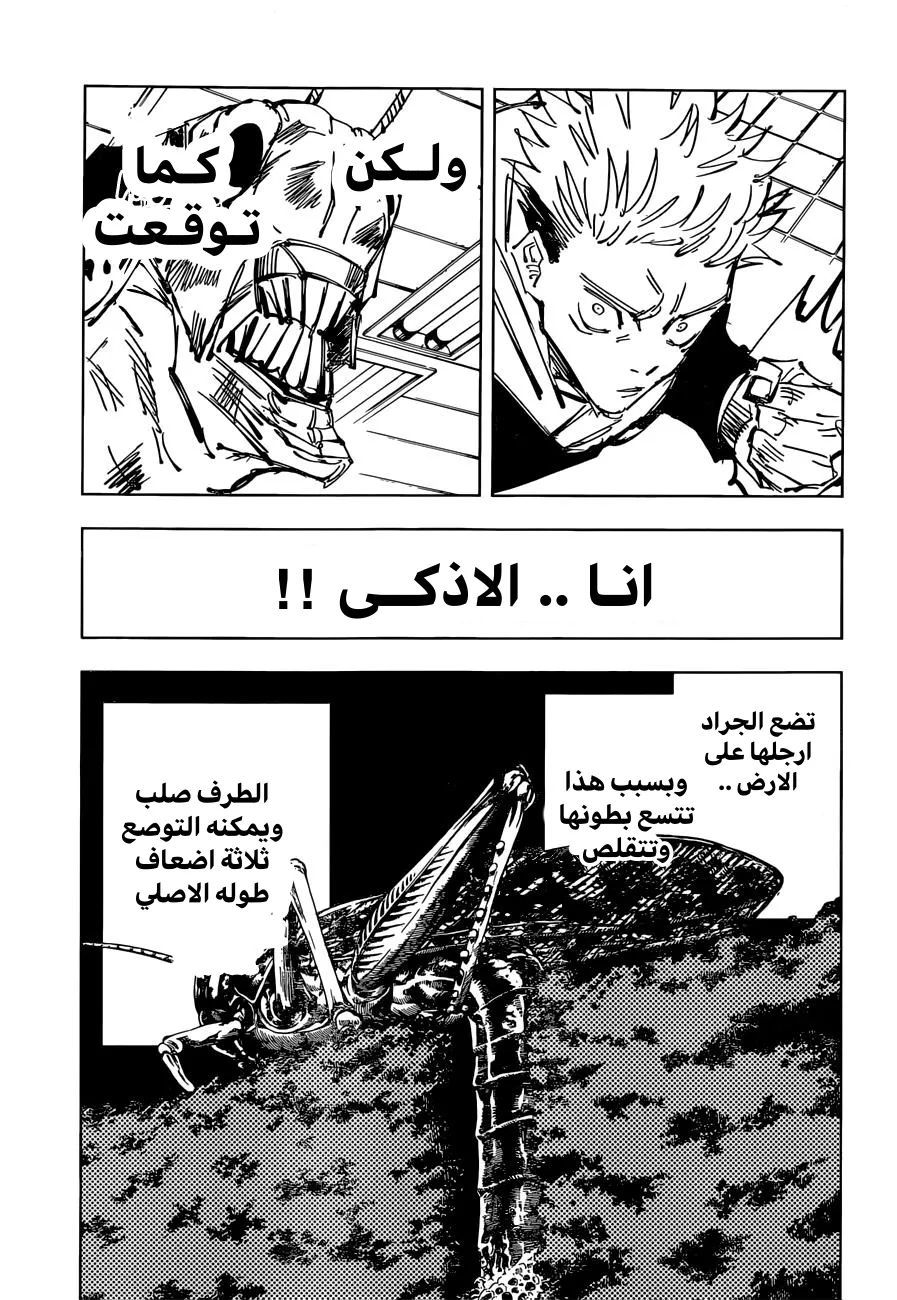 الصفحة 12 من 17