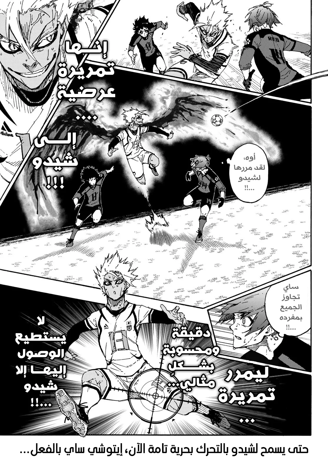 الصفحة 11 من 23