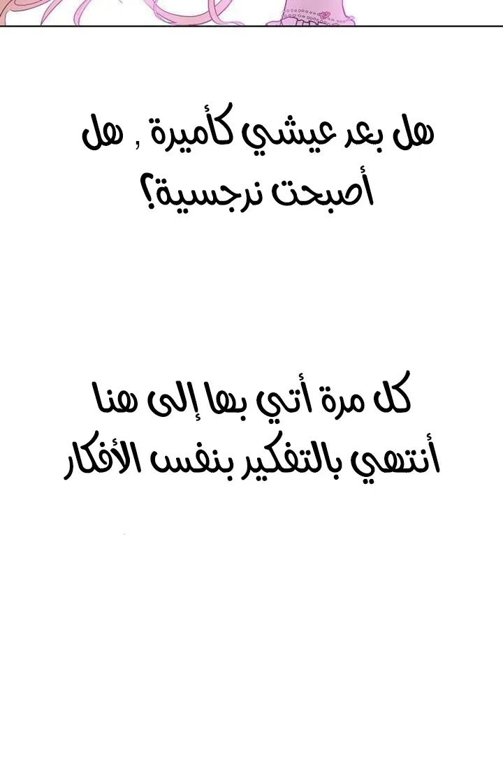 الصفحة 24 من 48
